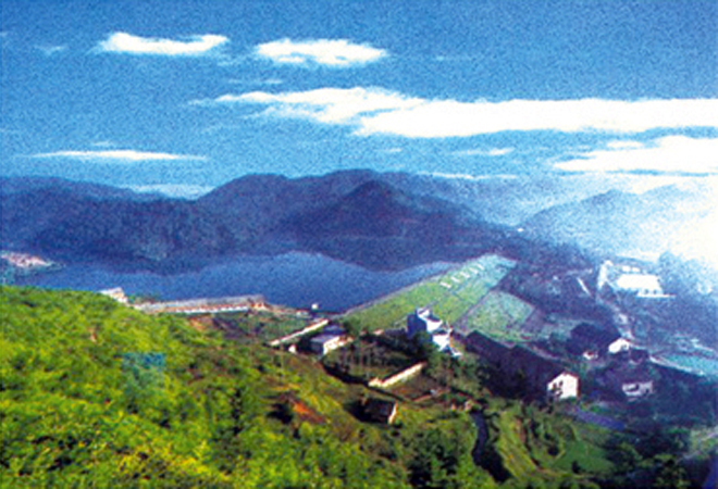 ���ӹ̴��óͷ�������ɽˮ��ཬ3690��