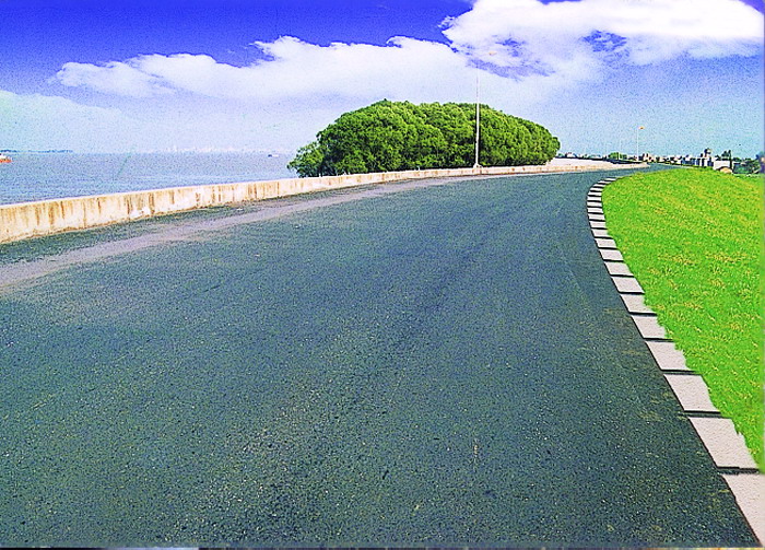 �����Ž��μ��湫�̶���·