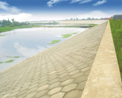 ۶����������������